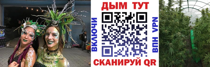 Конопля план  Медынь 